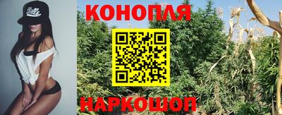 каннабис Кимры
